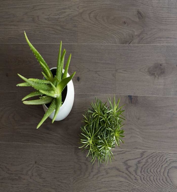 Oak Authentique 01 Silex - Görsel 2