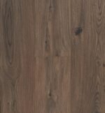 Gyant Dark Brown
