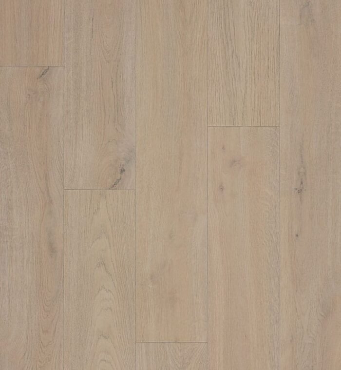 Barrel Oak - Görsel 1