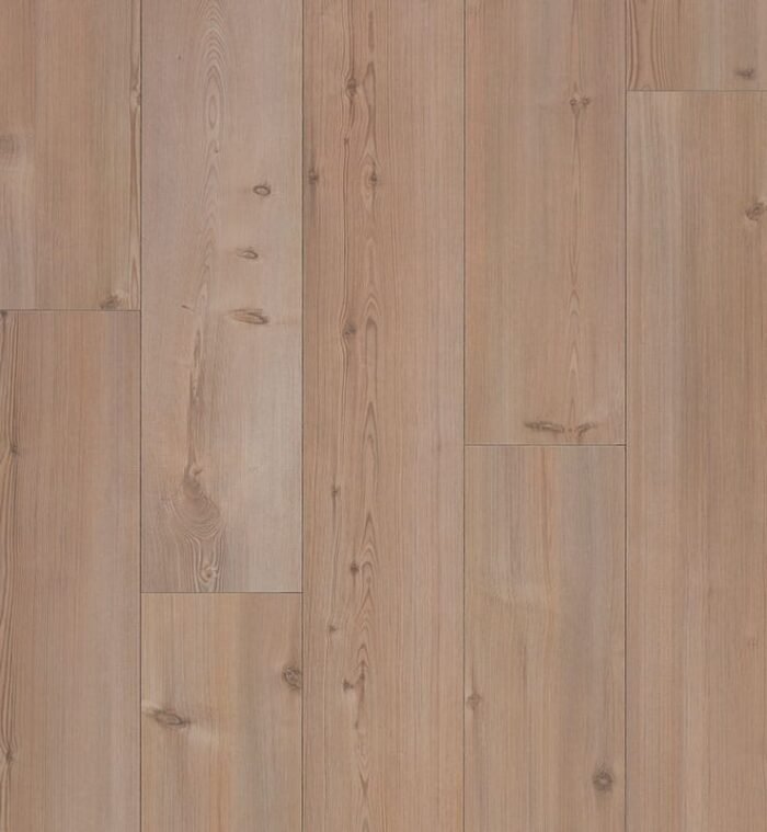 White Pine - Görsel 1