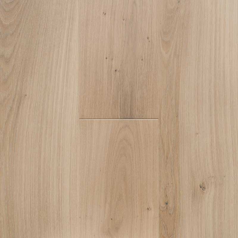 Canna Canna - Image 1