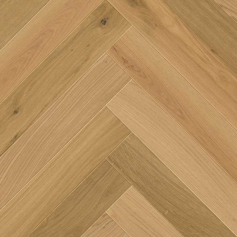 Canna Canna - Image 1