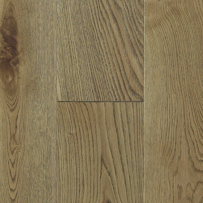 Jupiter-Plank Jupiter - Görsel 1