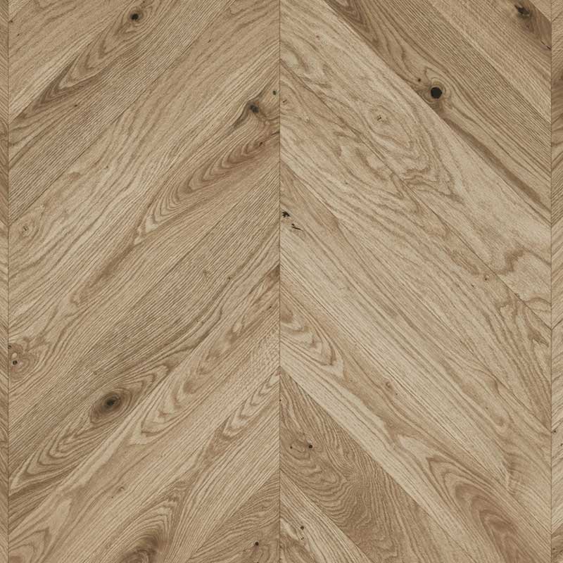 venus Venus - Image 1